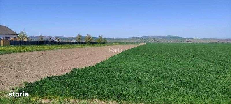 Vând 8100 mp teren - Imagine principală: 5/5