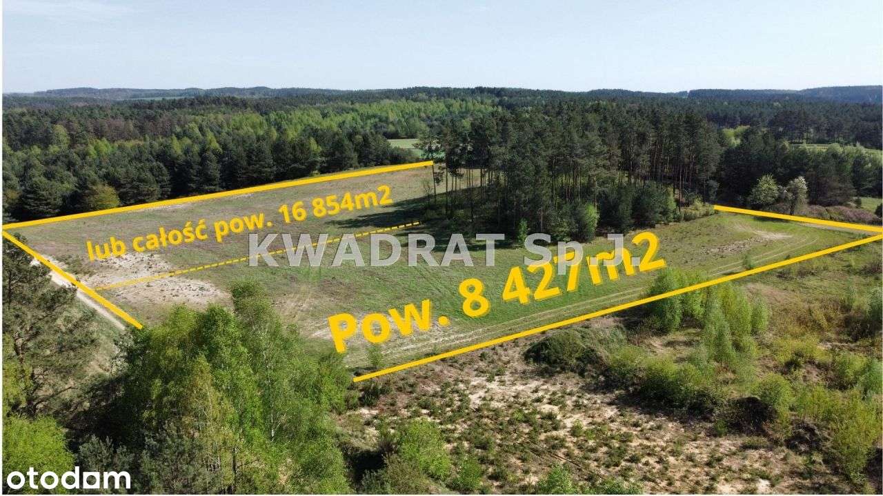 Piękna, duża działka z lasem – Kobyla Góra!!!-1