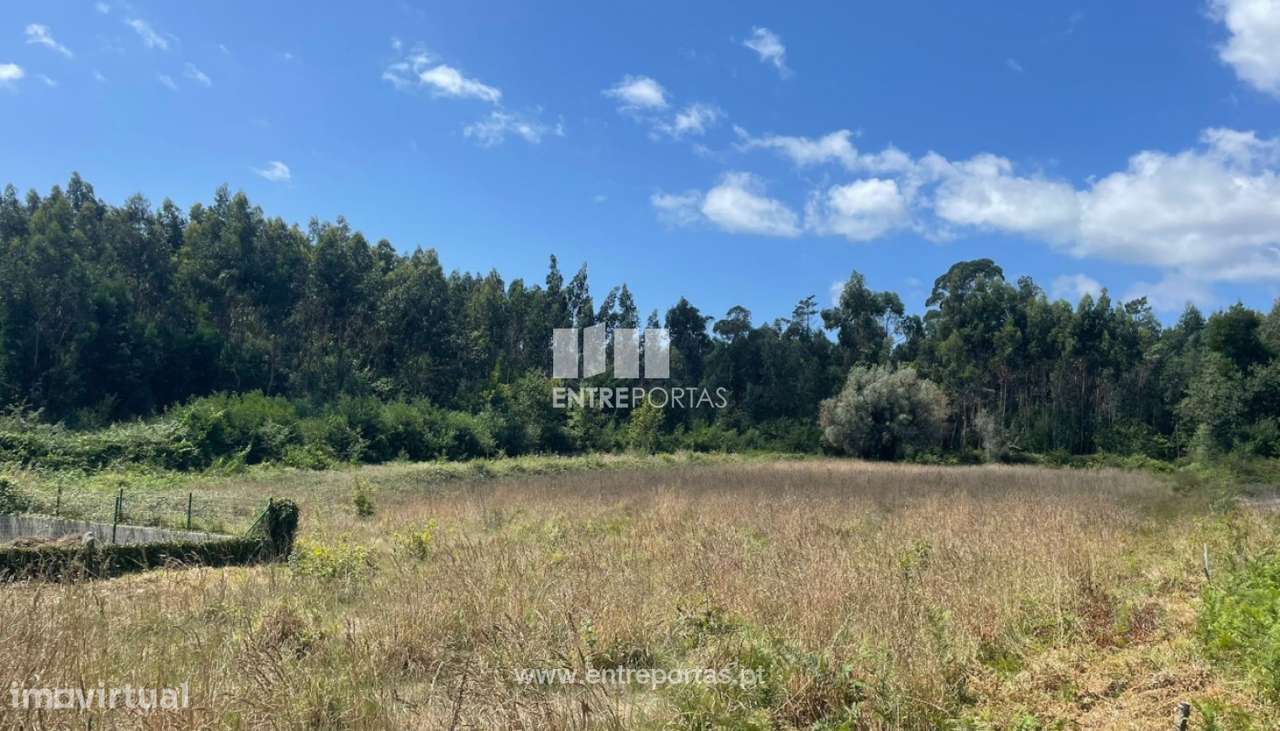 Venda de terreno com 6874m², Nogueira, Viana do Castelo - Grande imagem: 5/30