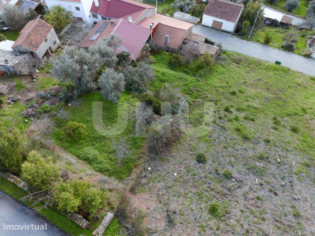 Moradia T3 com Logradouro - Grande imagem: 5/13