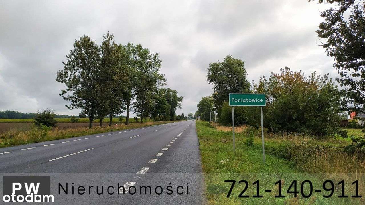 Działka usługowa pod Oleśnicą. - Pełny obrazek: 4/13