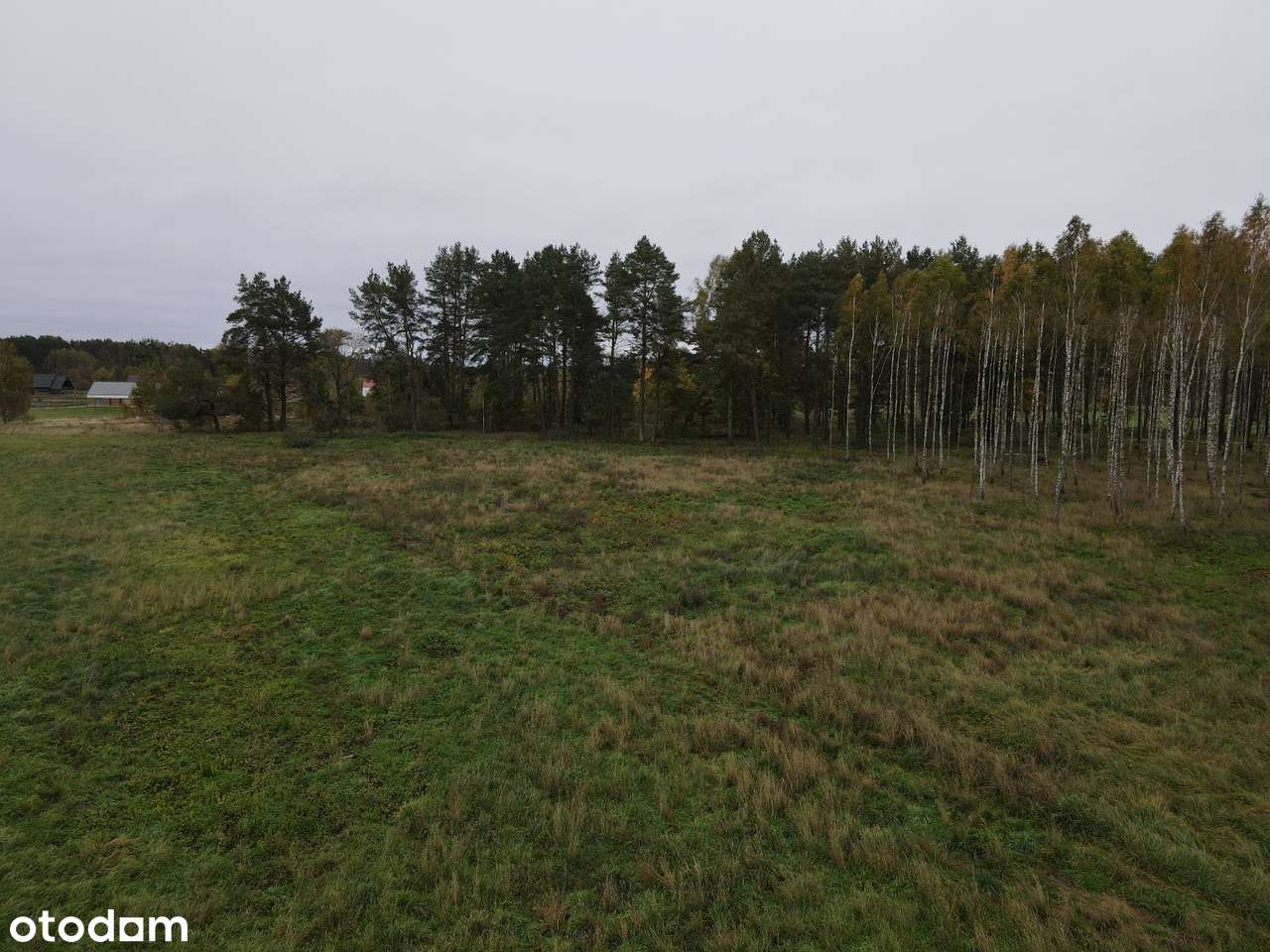 Leśny Zakątek Skorupki - działka pod lasem - SWJM - odlicz VAT 23%-9