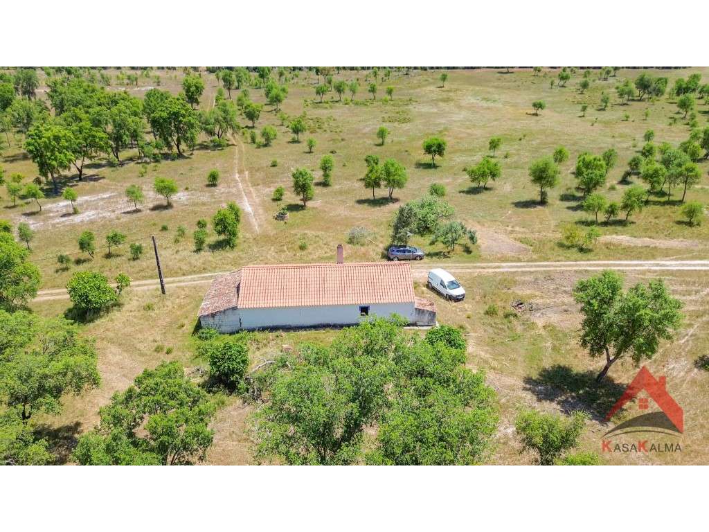 HERDADE COM 18,7 HA | TURISMO AGRICULTURA ENERGIA SOLAR - Grande imagem: 4/28