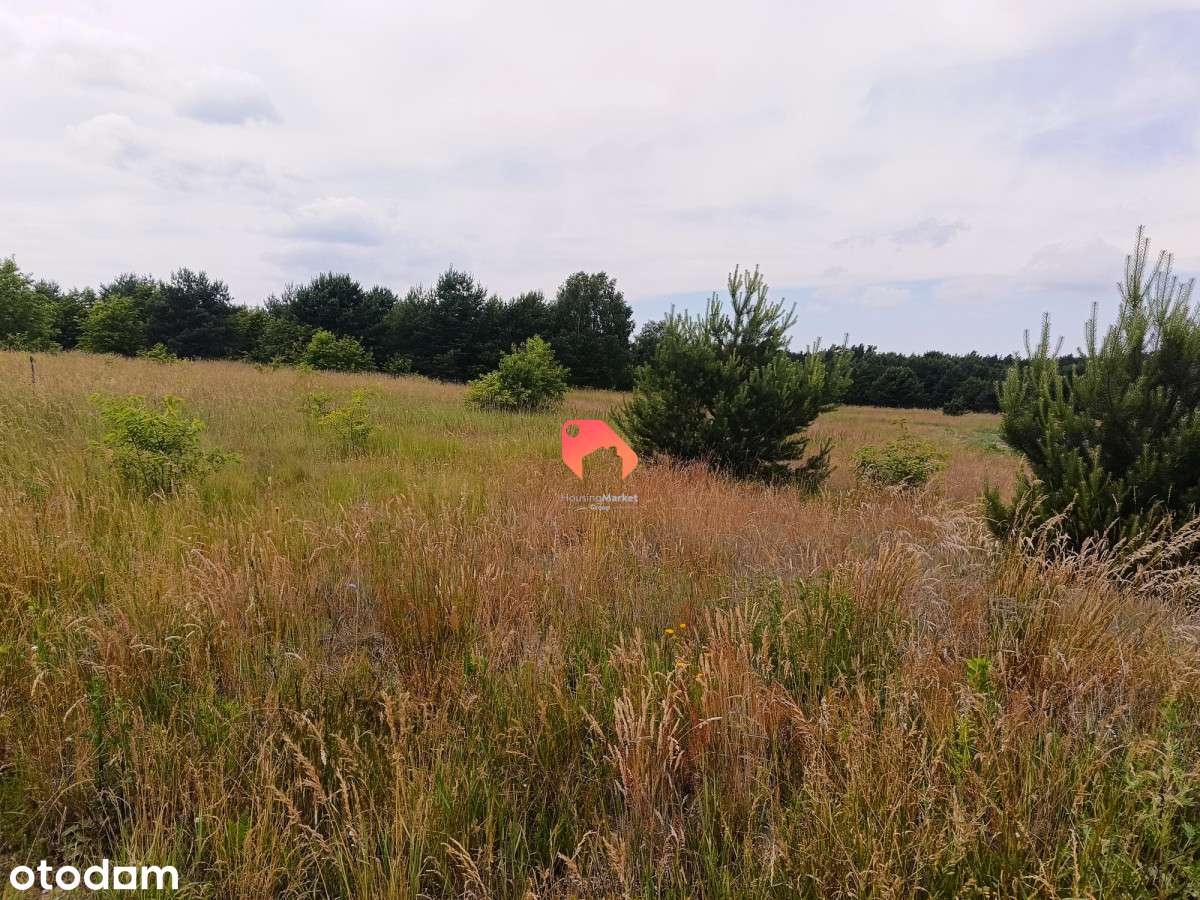 Działka 1536m2  Zamość W Pięknej Okolicy - Pełny obrazek: 4/4