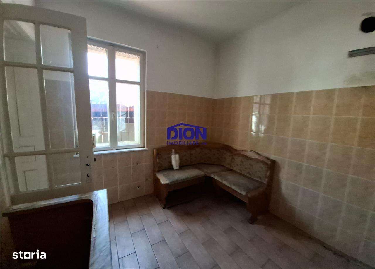 Pache Protopopescu - Agricultori - Sc. Internationala Britanica-6