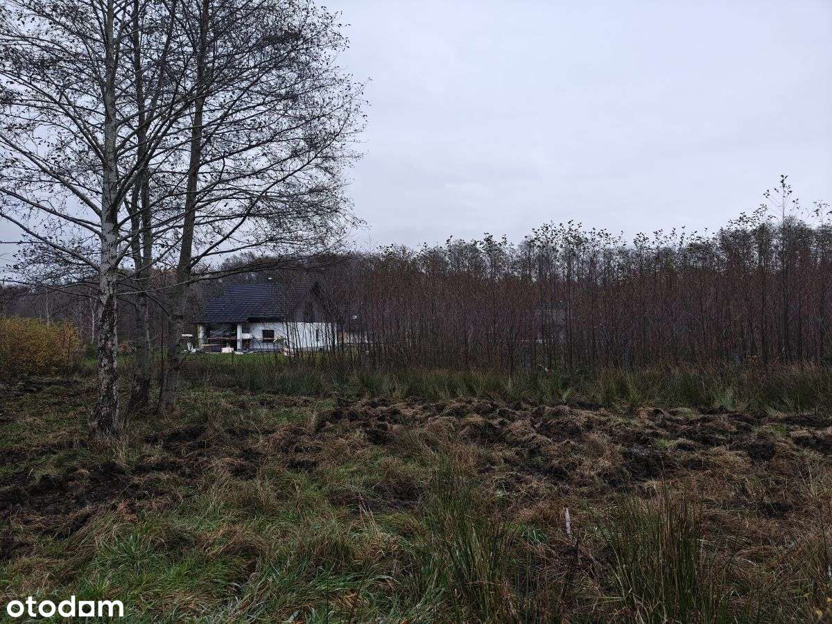 Słoneczna działka budowlana w Sasinie Jarzębinowa-7