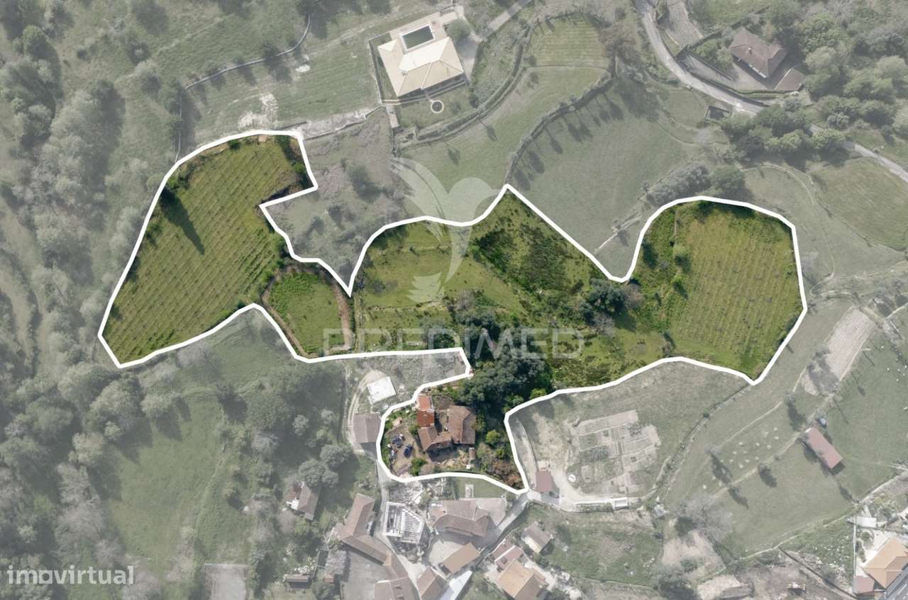 Quinta - Grande imagem: 4/23