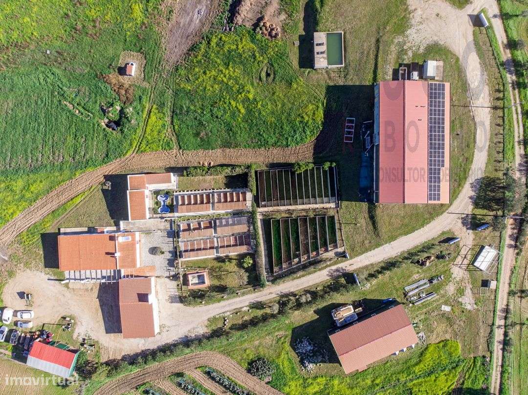 Vende-se Quinta/ Hotel canino, Nossa Senhora de Machede, Évora - Grande imagem: 5/43