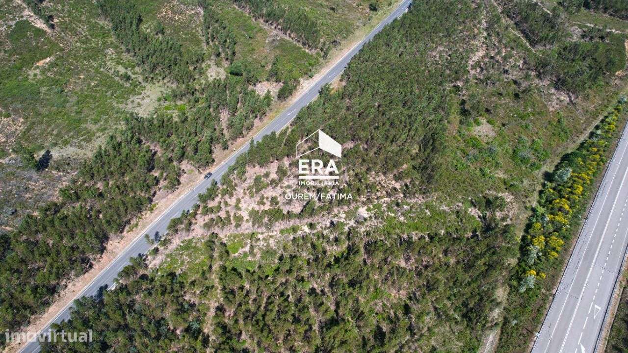 Terreno Rústico localizado em Carregueiros, Tomar - Grande imagem: 2/16