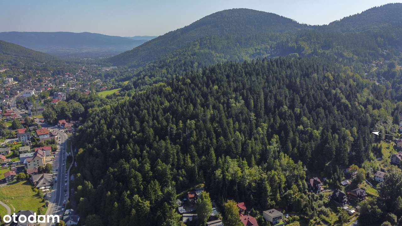 Działka leśna ul. Uzdrowiskowa Szczyrk - Pełny obrazek: 4/11