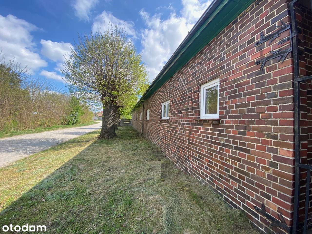 4 niezależne lokale nieopodal lasu i jeziora-5