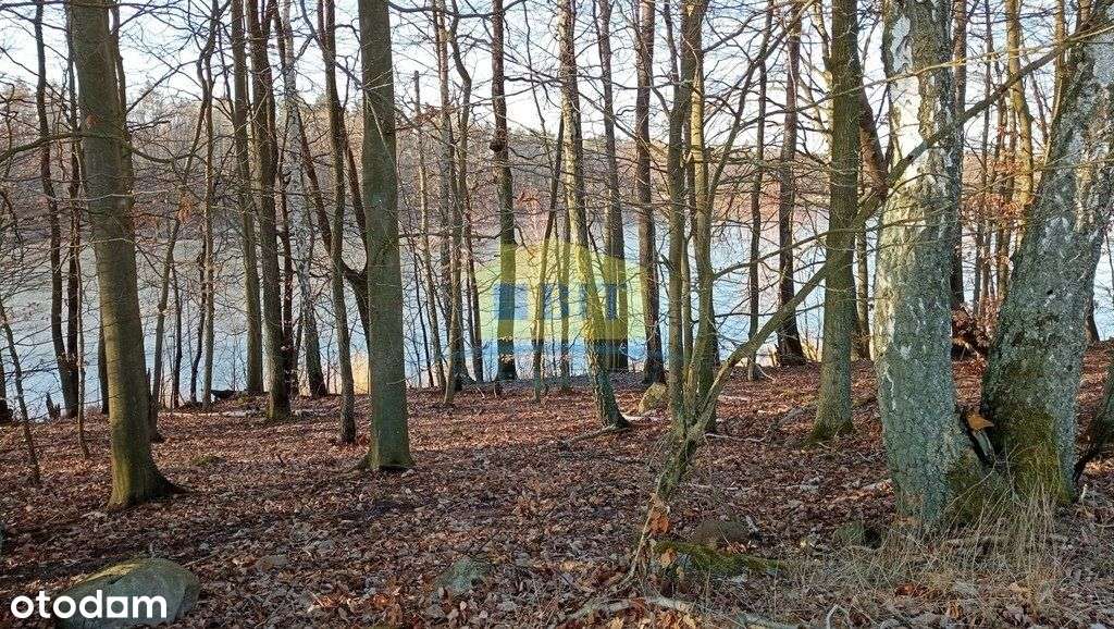 Działka 6066 m2, z dostępem do jeziora Kaleńsko-17