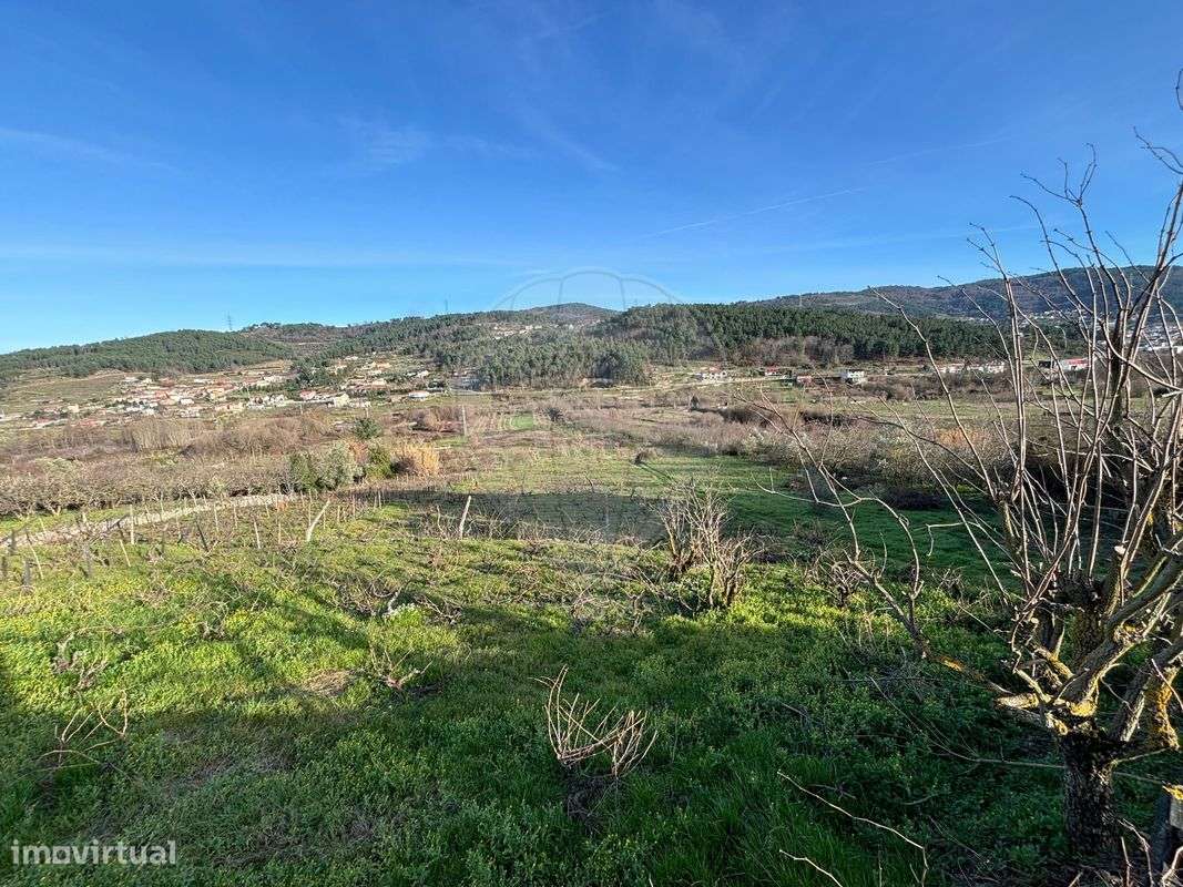 Terreno  para venda - Grande imagem: 5/5