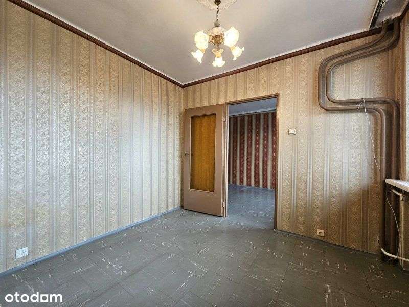 3 pokoje Os. Tysiąclecia, Kukurydza-4