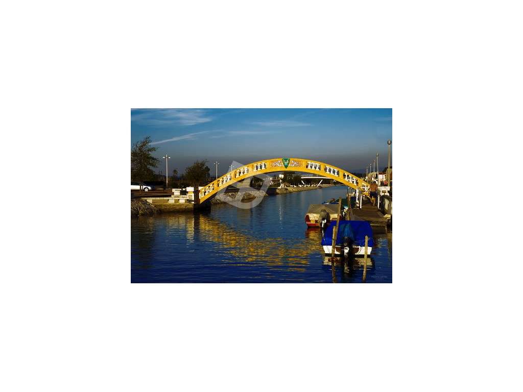 Apartamento T3 Implex c/ Terraços - Centro de S. Bernardo-13