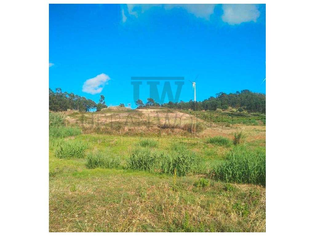 Terreno Industrial C/ PIP , Torres Vedras, 23.000 m² - Grande imagem: 2/8