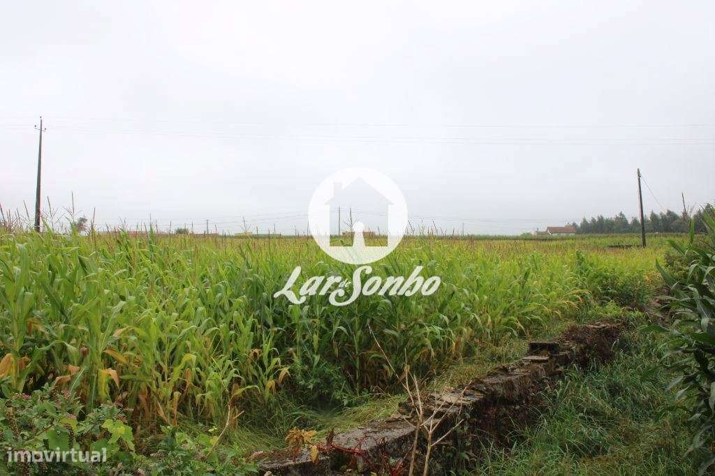 Terreno inserido em zona de construção - Grande imagem: 4/25