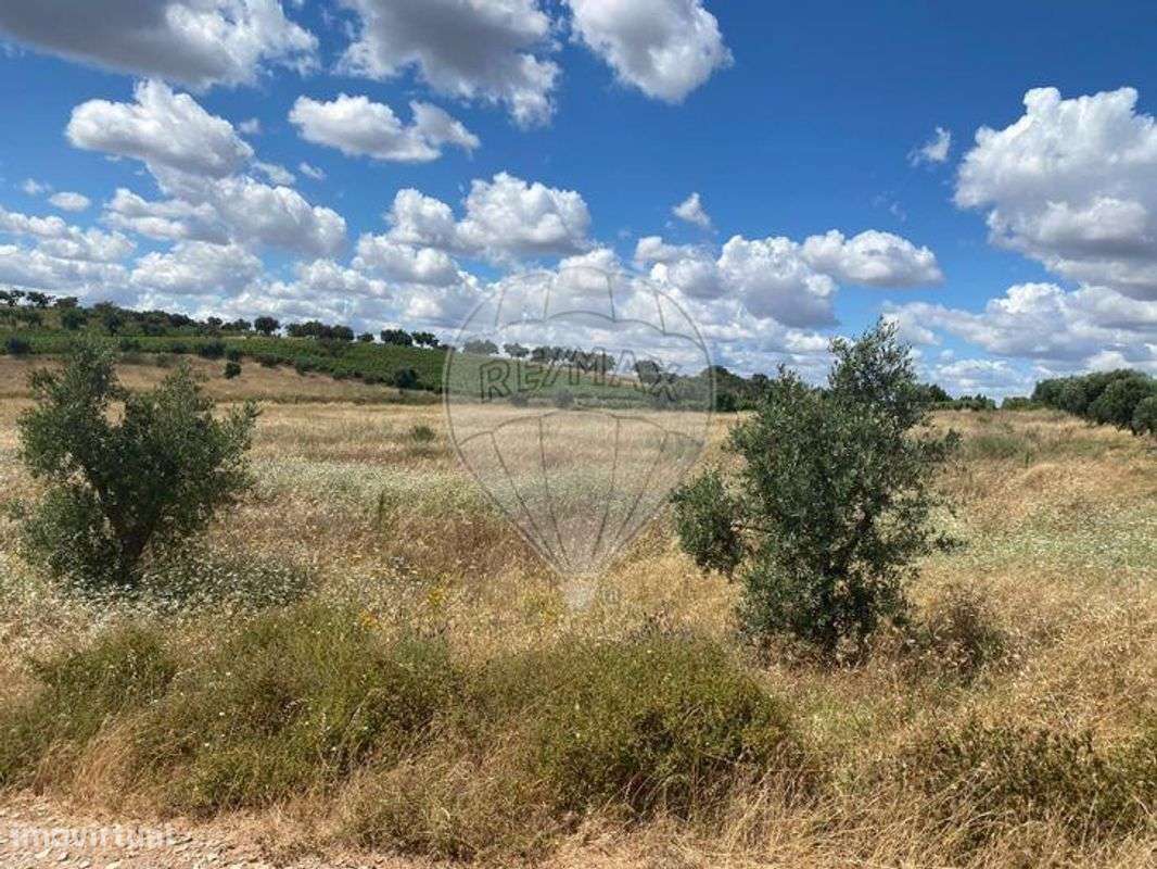 Terreno  para venda - Grande imagem: 4/4