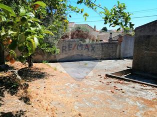 Armazém T0 para venda - Grande imagem: 3/8