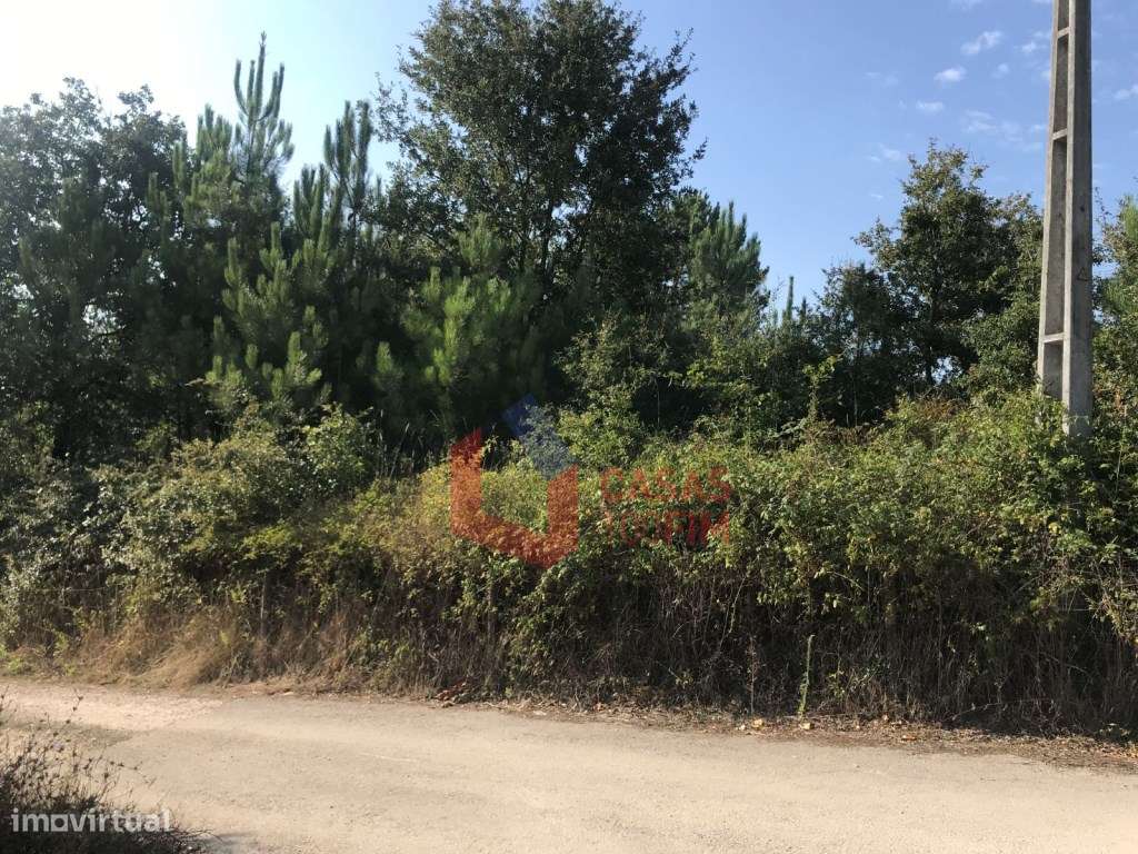 Terreno com 1800m2 para construção de moradia, em S. Jorge, Calvari... - Grande imagem: 1/6