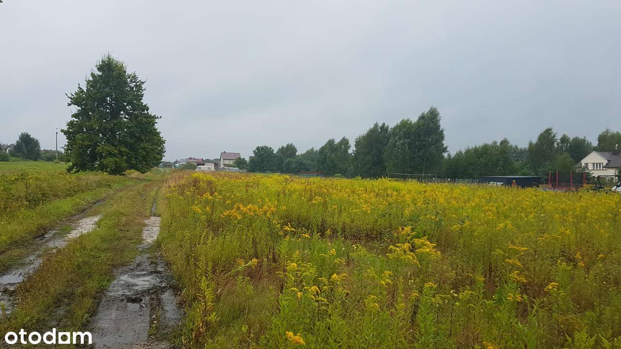 Działka, 1298.0 m², Uwieliny - Pełny obrazek: 4/5