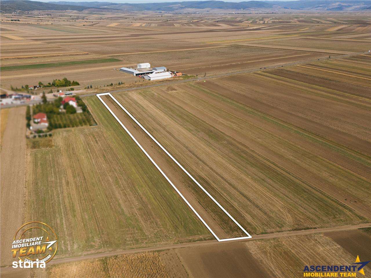 FILM! Teren intravilan 7.500 mp, deschidere dubla, DN11 (E574), Cernat - Imagine principală: 4/6