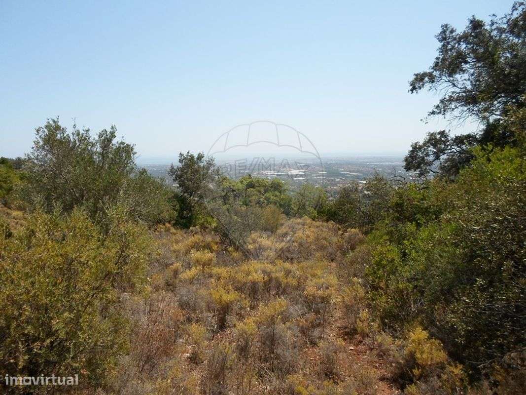 Terreno  para venda - Grande imagem: 4/9