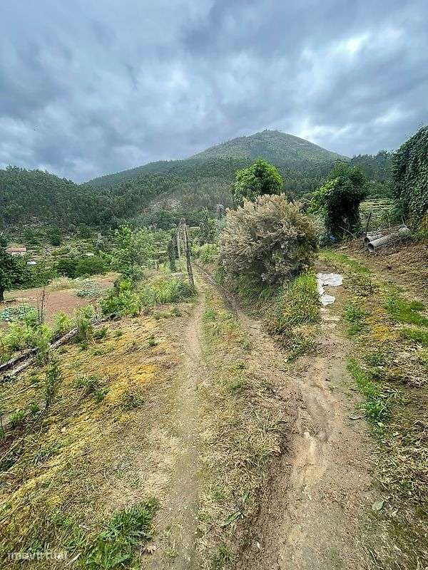 Terreno  para venda-4