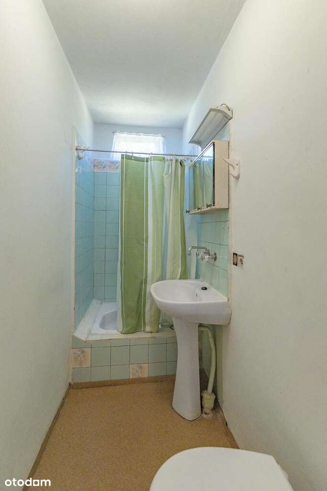 Dom wolnostojący + kawalerka - Żelechowa-16