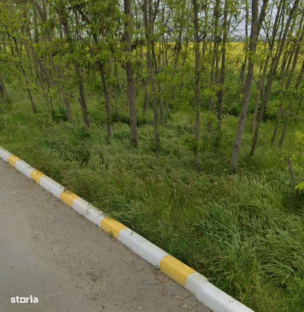 Teren ieftin  în Valu lui Traian!-2