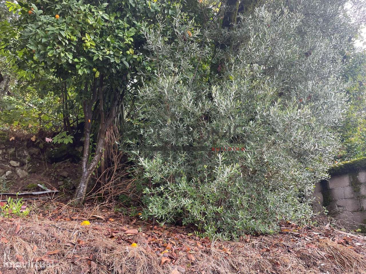 Casa de Aldeia T2 + 2 em Bucos-16