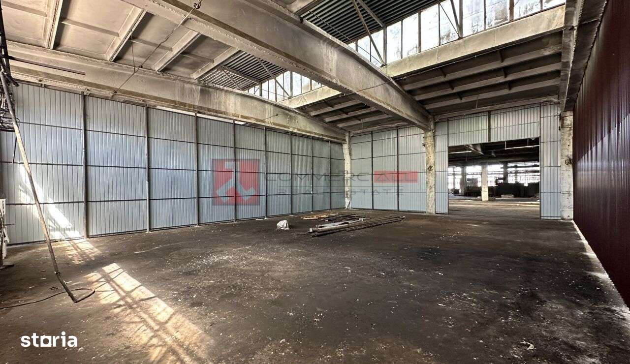 HALA 240 MP - PRET ATRACTIV - ACCES FACIL - CODLEA - Imagine principală: 1/8