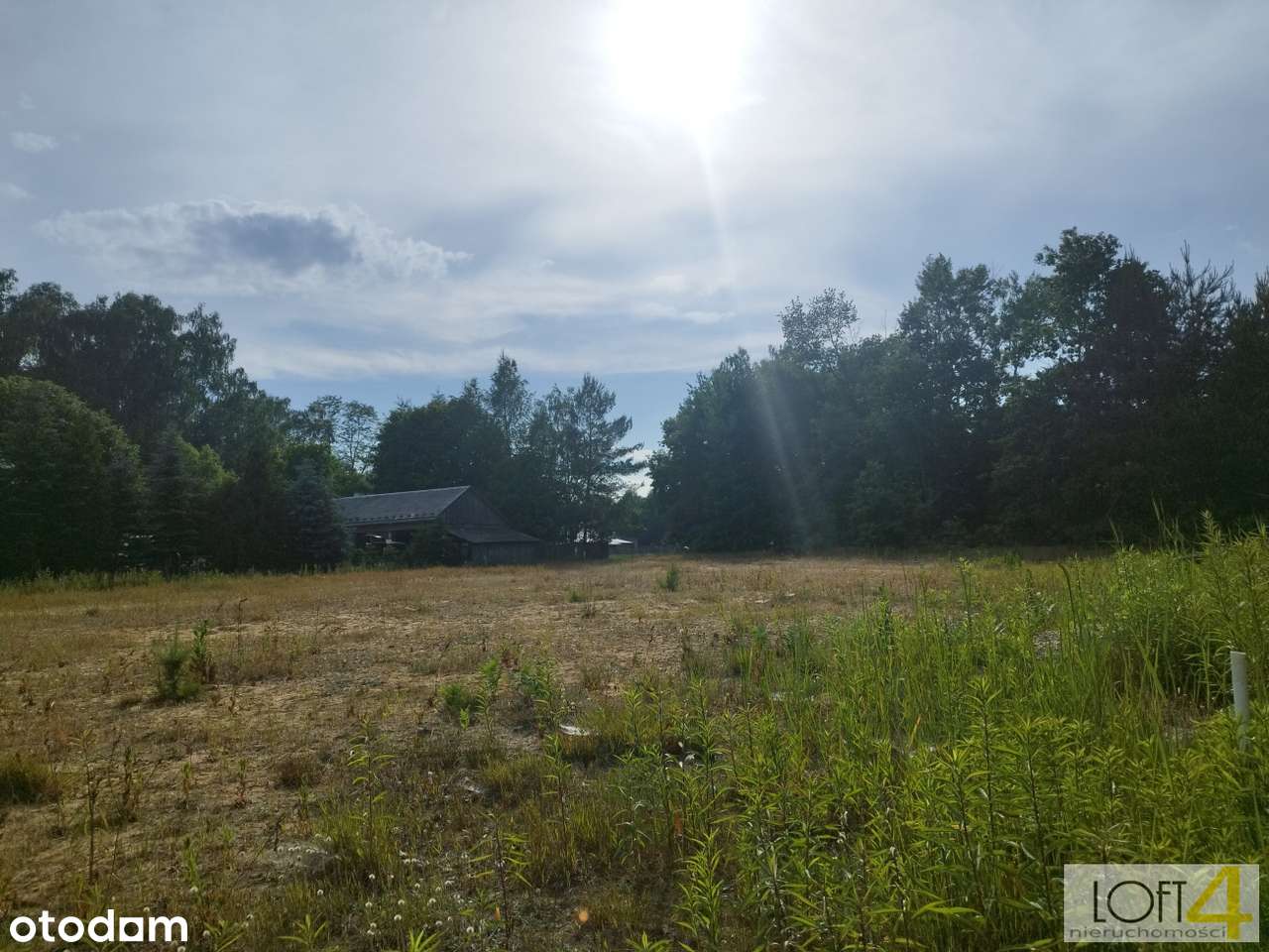 Atrakcyjna działka w Smykowie - Pełny obrazek: 5/7