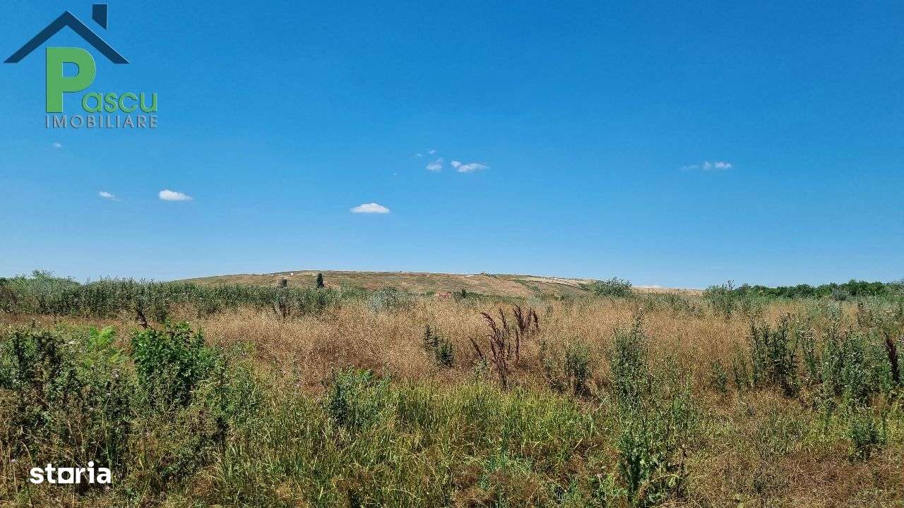 Teren Drum la Chiajna, sector 6, 11.350 mp, D 33 ml - Imagine principală: 4/5