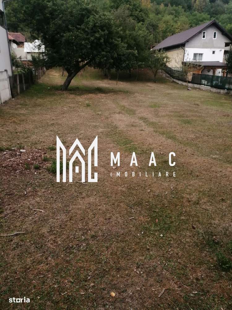 Teren Intravilan 10.000 mp | Livadă + Pădure de salcâm | Bărbătești-2