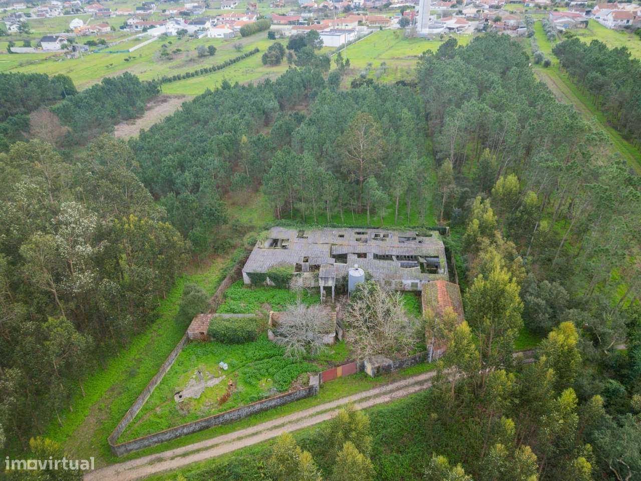 Armazém Agrícola em CASAL DOS CLAROS - Grande imagem: 5/10
