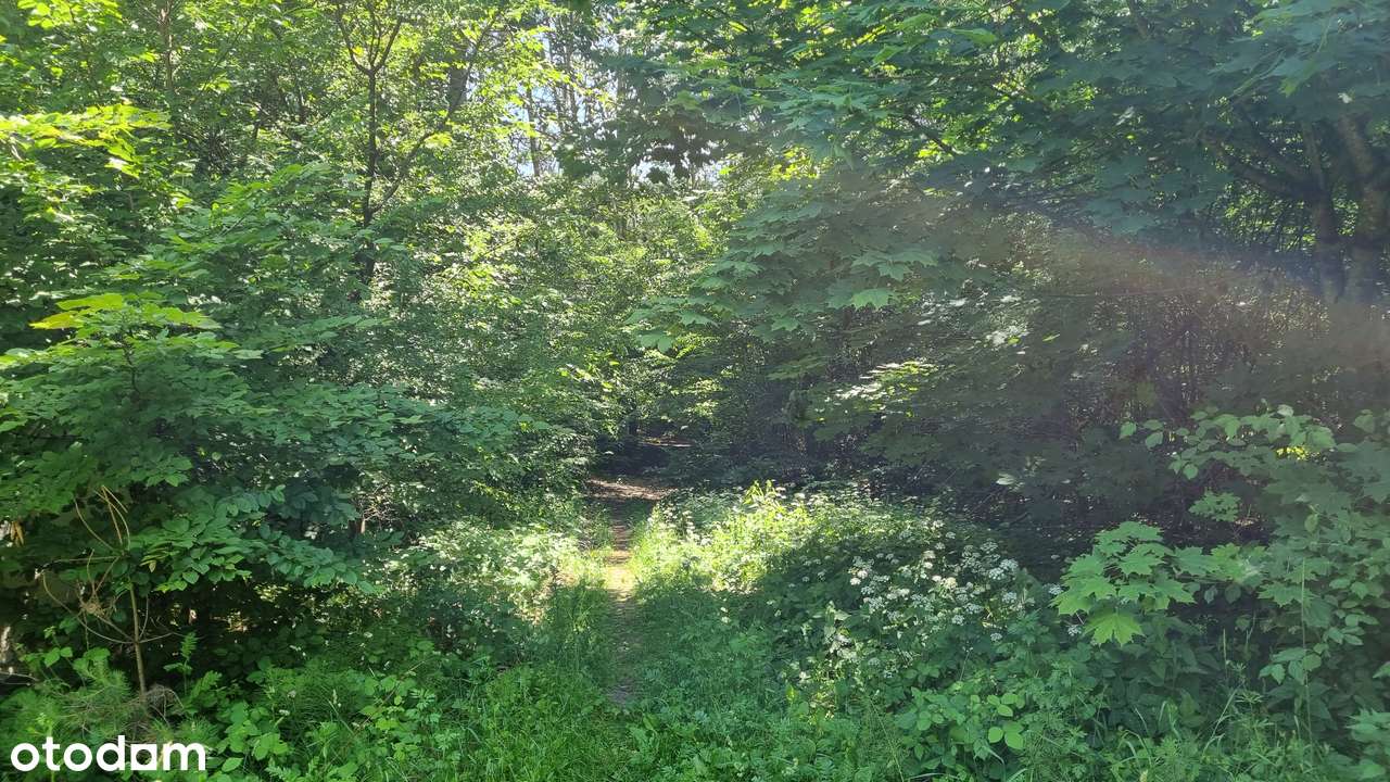 Nieruchomość inwestycyjna w atrakcyjnej okolicy - Pełny obrazek: 4/4