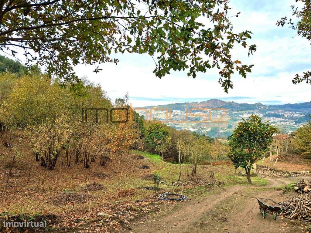 Quinta com Ribeiro e casa para restaurar - Terreno de cultivo-7