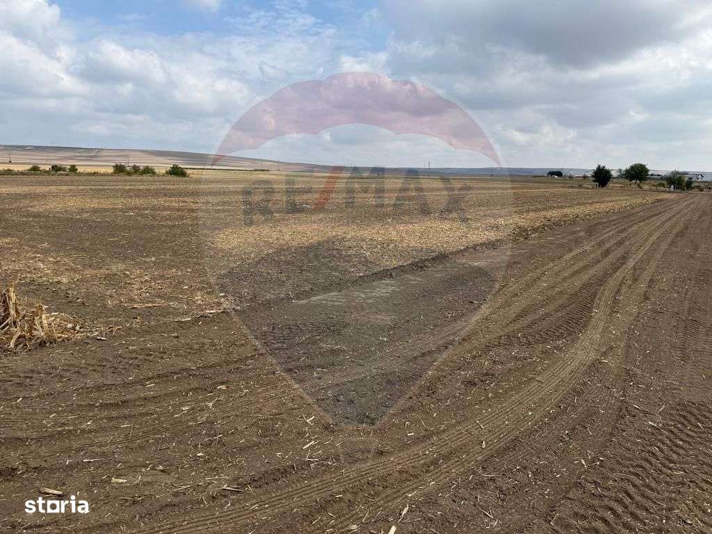 Teren Isalnita 400 mp - Imagine principală: 5/6