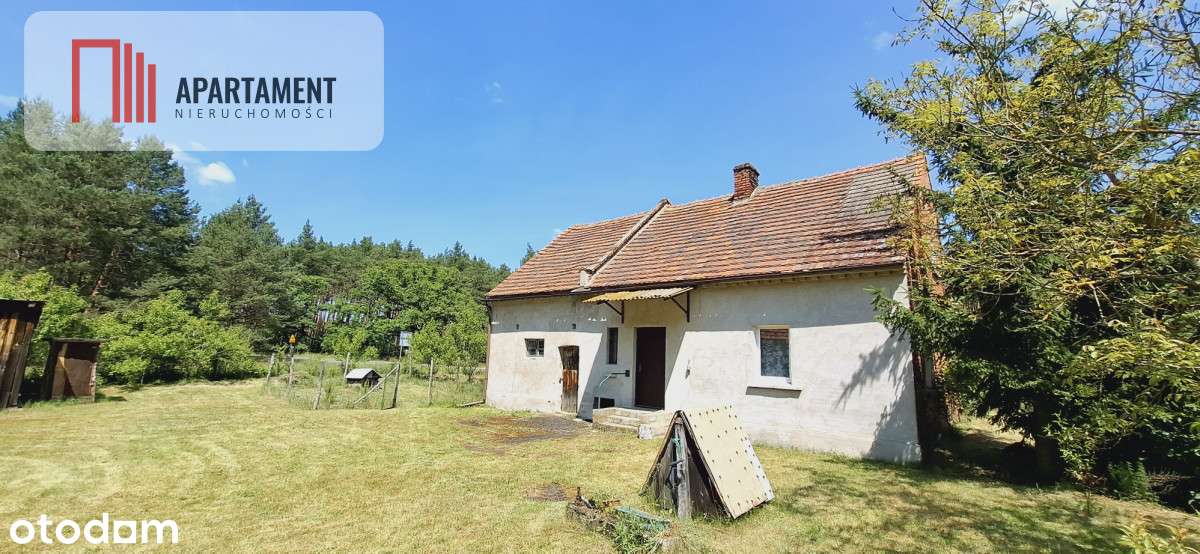 Wolnostojący dom pod lasem - Pełny obrazek: 5/12