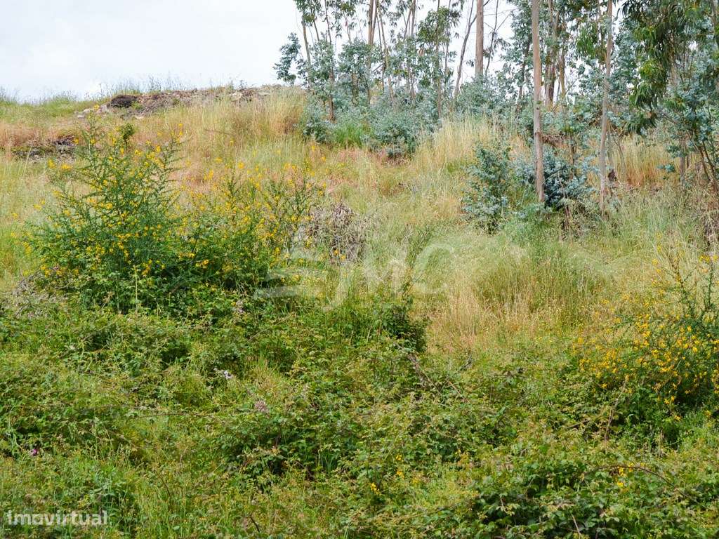 Terreno Milheirós para Moradias-13