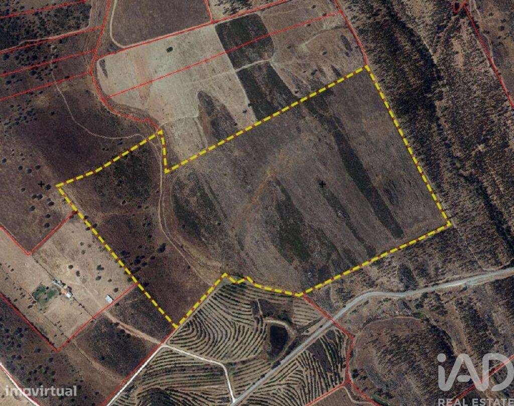 Terreno em Santiago Maior de 237500,00 m2 - Grande imagem: 5/5