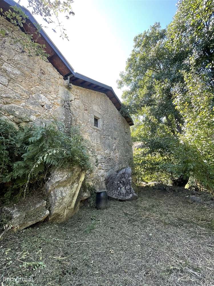 Moradia Isolada T3 Venda em Louriçal do Campo,Castelo Branco-14