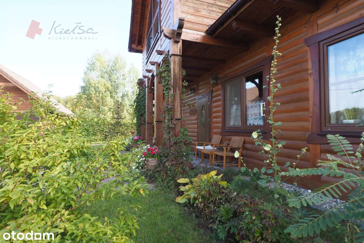 172572 - Pełny obrazek: 2/20