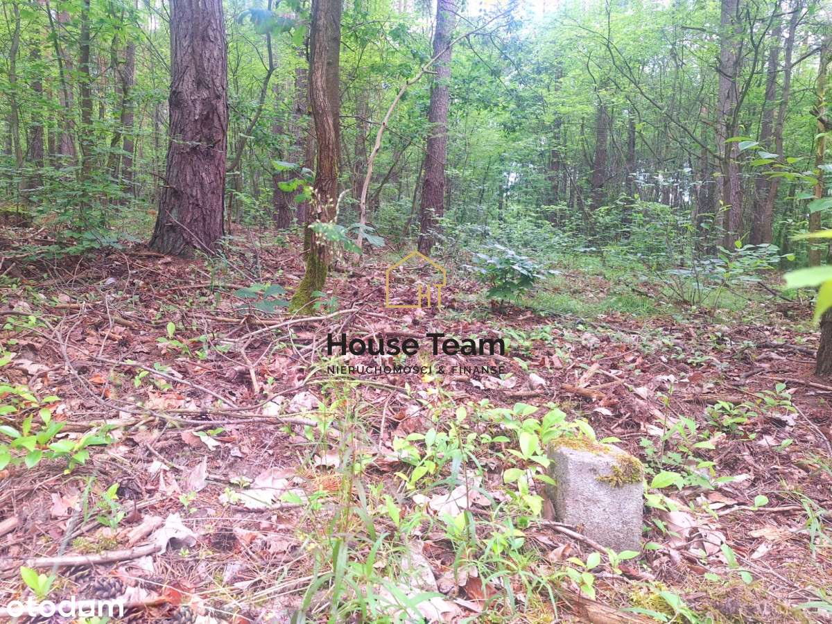 Działka z Mpzp - 1721 m2 - Smukała - Pełny obrazek: 5/14