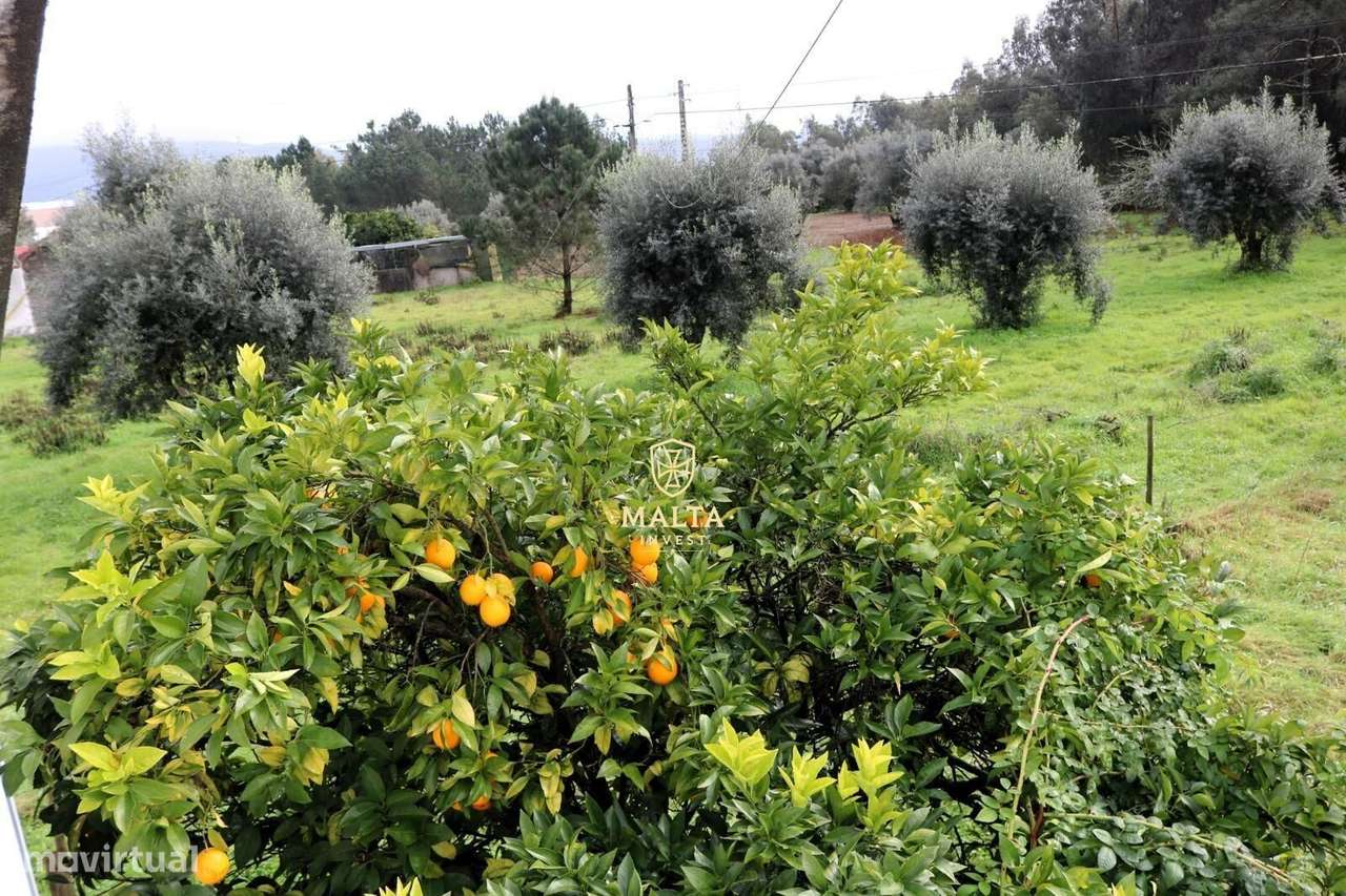 Moradia Isolada na Mealhada – Oportunidade Única, Pronto Pagamento-14