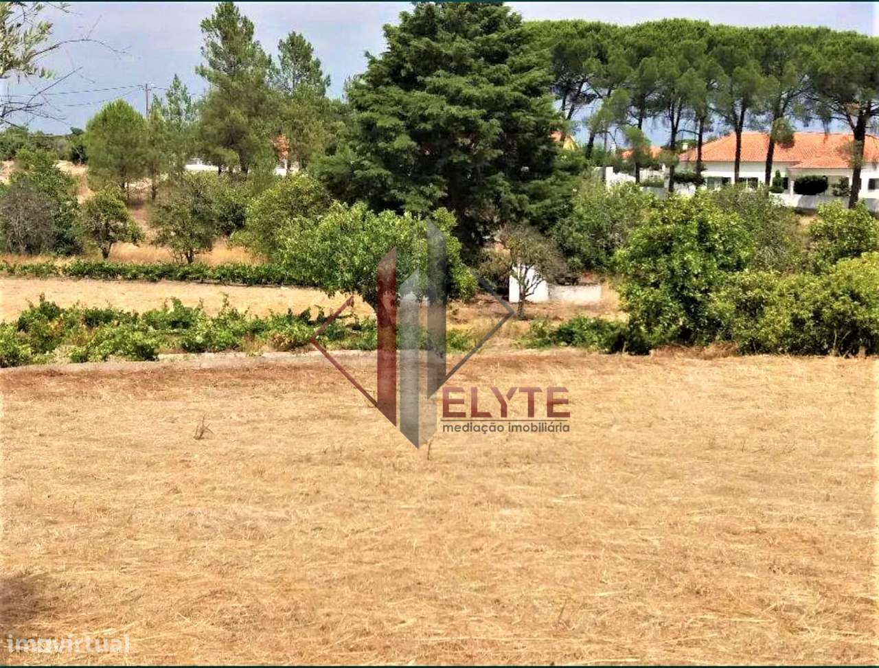 Quinta em Coruche - Grande imagem: 5/12