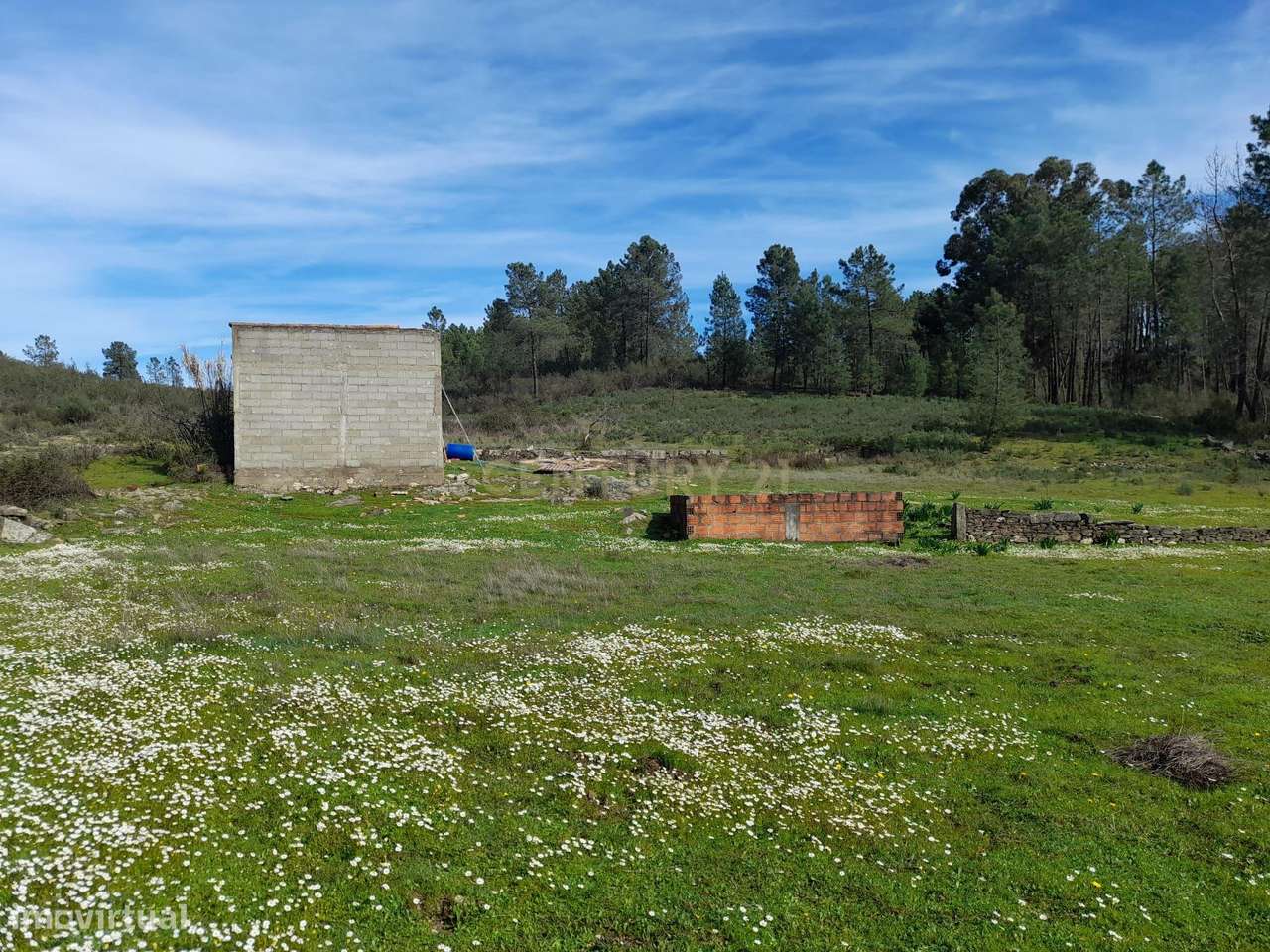 Terreno rústico, Salgueiro do Campo, Castelo Branco - Grande imagem: 2/16