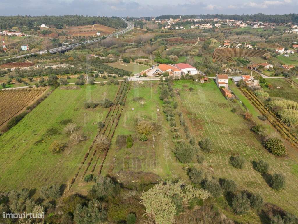 Terreno | Ventosa do Bairro, Mealhada-14