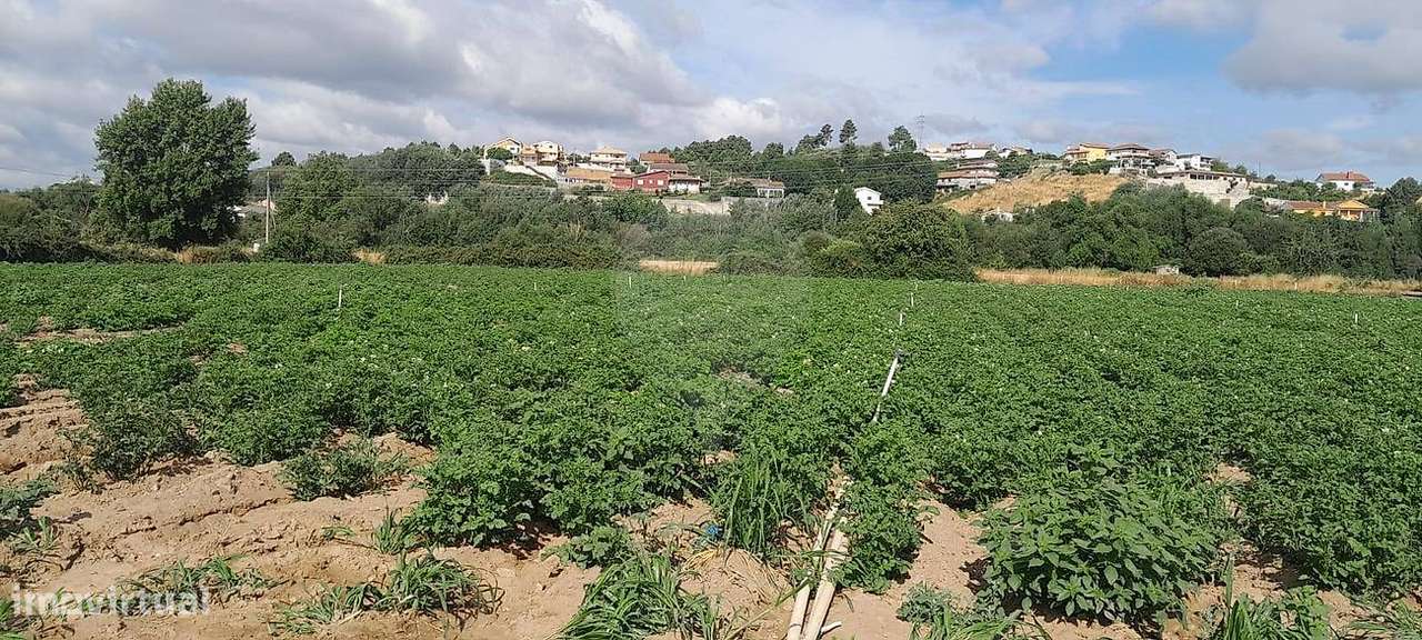 Terreno  para venda - Grande imagem: 4/9